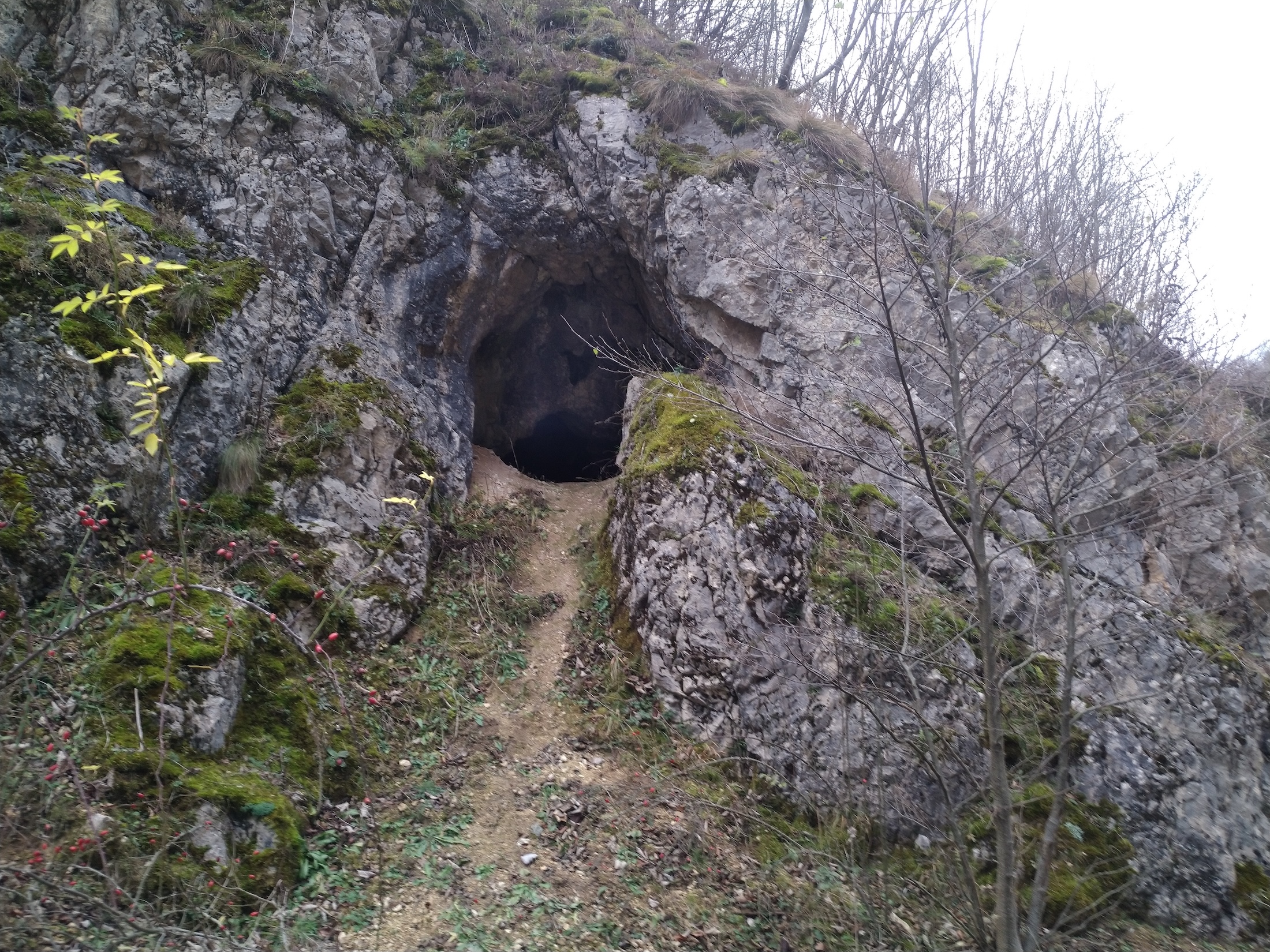 Peştera nr.1 din Valea Poneasca - Image 2